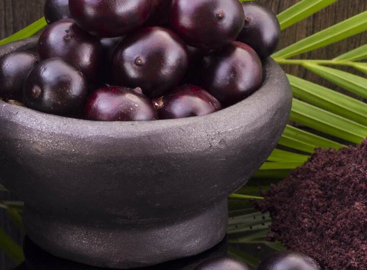 Acai Berry Materials: Exploring the Nutrient-Rich Core