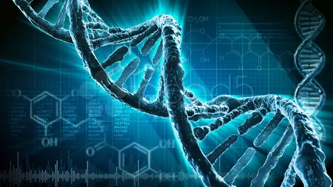 Accelerated Diagnoses for Rare Genetic Diseases Offered by Single Genomic Test