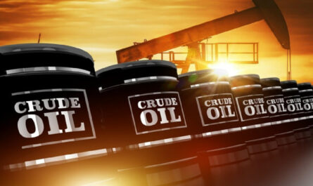 Crude Tall Oil Market