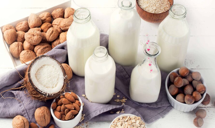 Dairy Alternative Delights: Exploring Nutritious Options