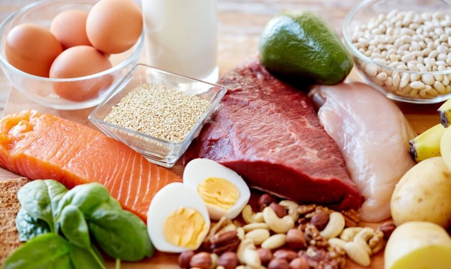 Functional Proteins Market Power the Nutraceuticals Trend by Sustainable Innovation