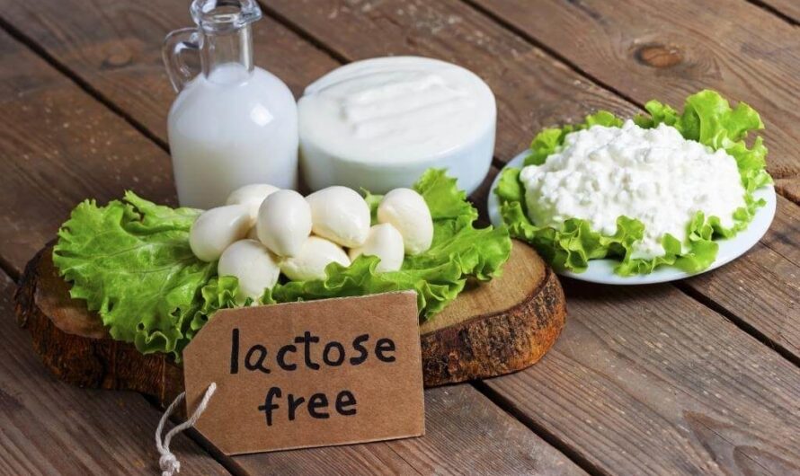 Lactose Free Food Market Growing Rapidly Owing to Rising Prevalence of Lactose Intolerance