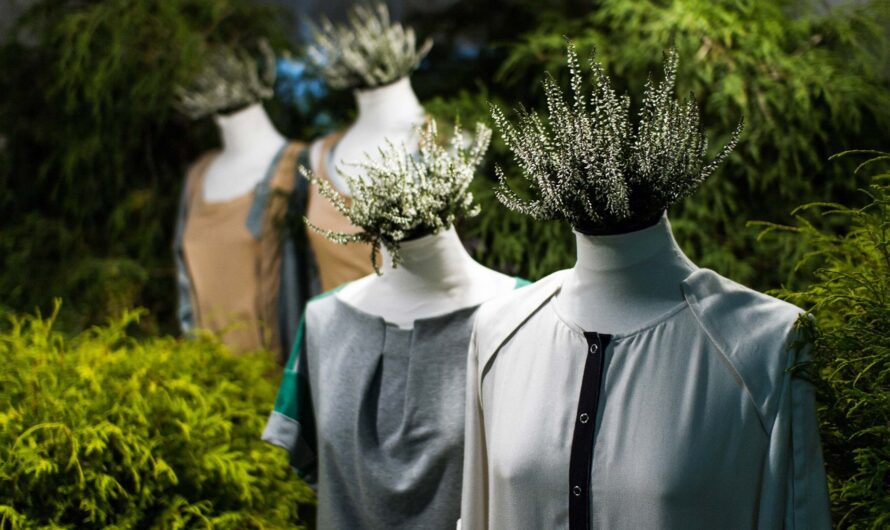 Sustainable Fashion Market is Trending Towards Eco-Friendly Materials