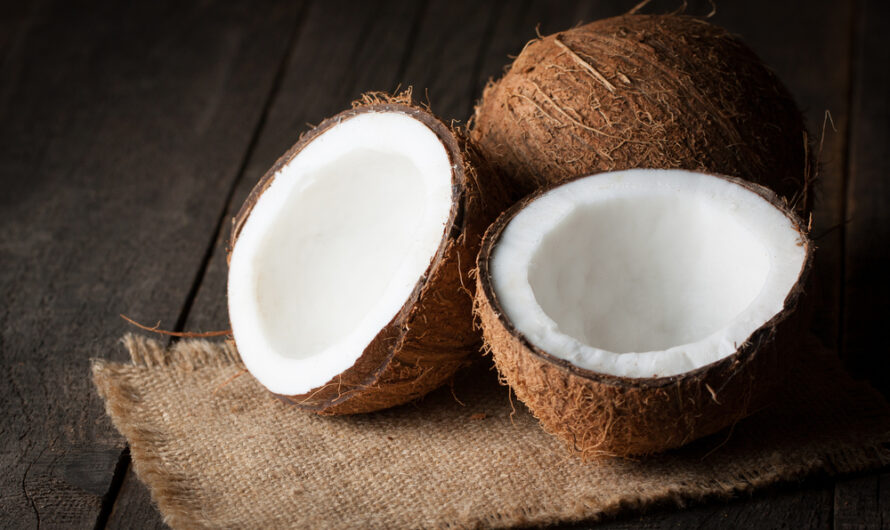 Coconut Wraps Market Estimated To Witness High Growth Owing To Increasing Health Consciousness