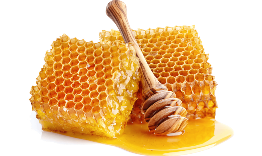 Bee Propolis Extract Market is Estimated to Witness High Growth Owing to Increasing Application in Healthcare and Nutraceutical Industry
