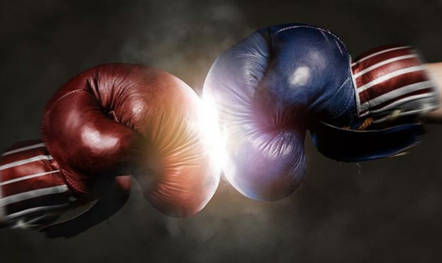 Boxing Gloves Market Poised for Strong Growth Due to Advances in Glove Materials